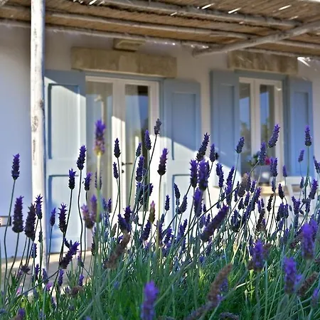 Masseria Montelauro אוטרנטו